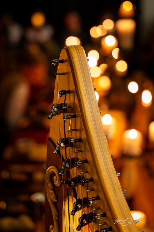 Strings by Candlelight | Harp Performance